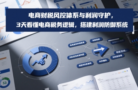 电商财税风控体系与利润守护，3天看懂电商税务逻辑，搭建利润防御系统-情久项目网