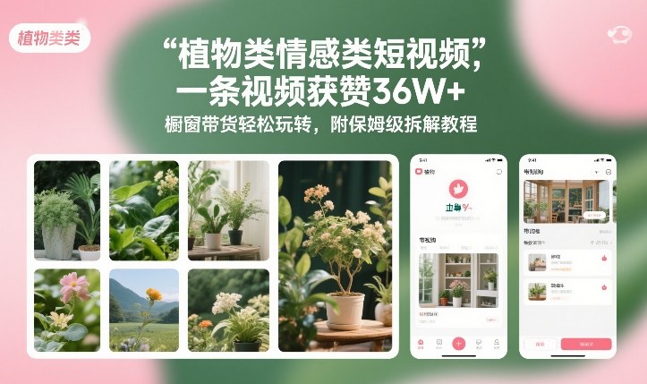 植物类情感类短视频，一条视频获赞36W+，橱窗带货轻松玩转，附保姆级拆解教程-情久项目网