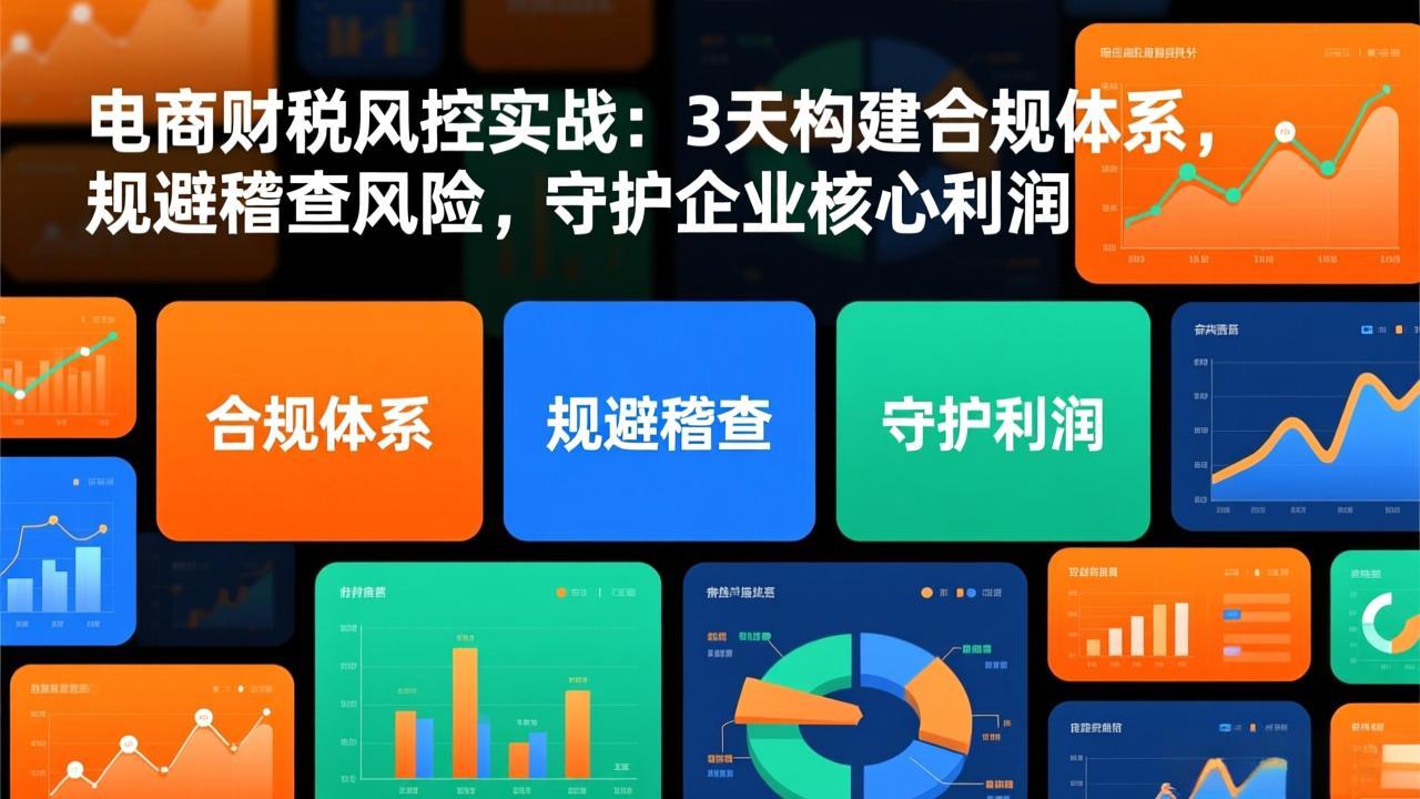 电商财税风控实战：3天构建合规体系，规避稽查风险，守护企业核心利润-情久项目网