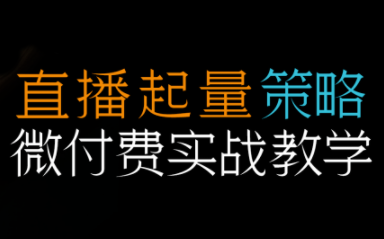 半野老师·直播带货起量与微付费必学课视频号(更新2026)-情久项目网