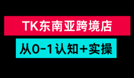 TikTok东南亚跨境从0-1认知实操课-情久项目网