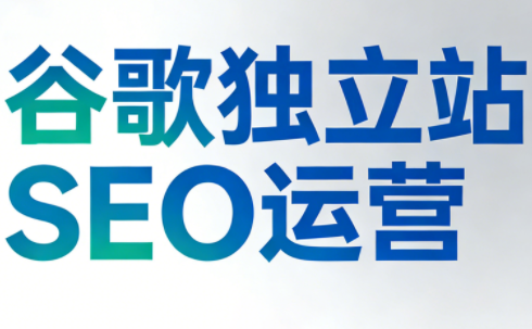 谷歌独立站SEO运营(更新2026)-情久项目网