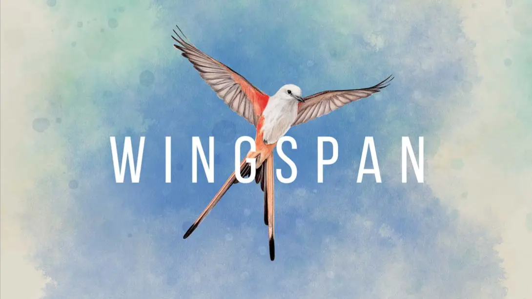 【美版】展翅翱翔 Wingspan 中文-情久项目网