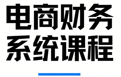郑老师·电商财务系统课程-情久项目网