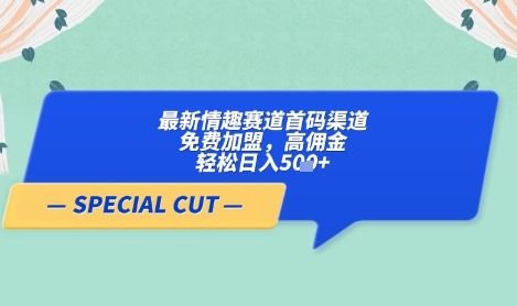 【轻云】最新情趣赛道首码渠道，免费加盟，高佣金，轻松日入5张+-情久项目网