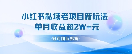 小红书私域项目新玩法,单月变现过W+-情久项目网