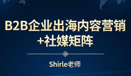 shirle老师·B2B企业出海内容营销+社媒矩阵-情久项目网