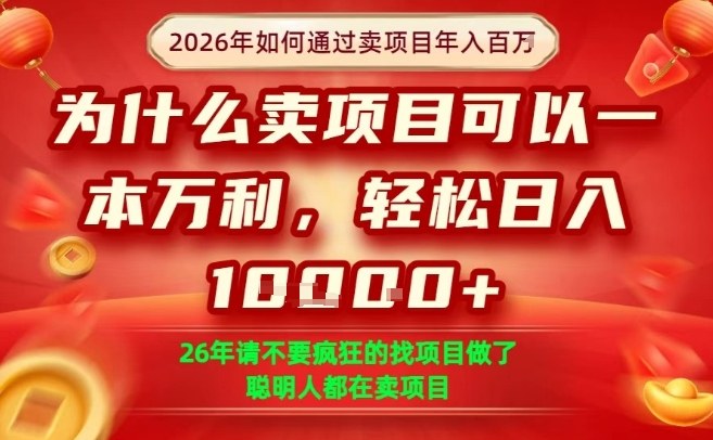 一单净利润1K+，26年想年入100个W，死磕卖项目就够了【揭秘】-情久项目网