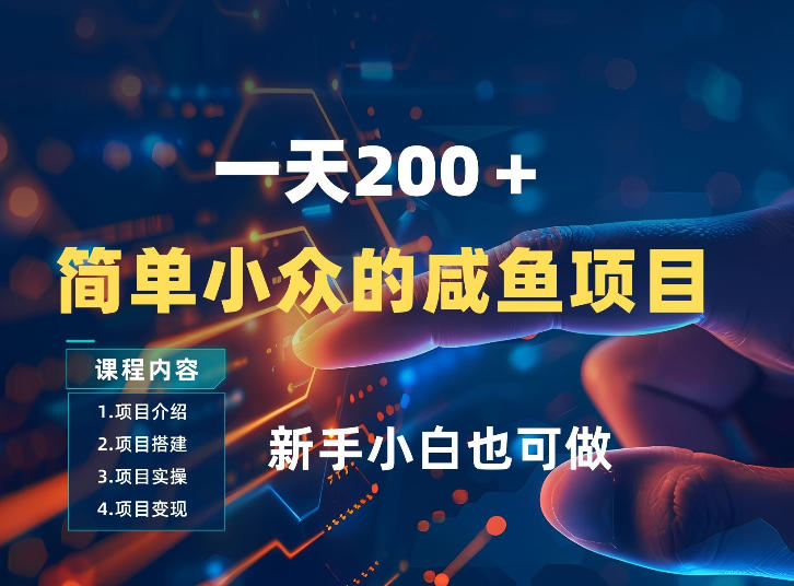 一天收入2张，一个简单小众的咸鱼项目，0门槛小白也能做-情久项目网