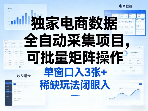 独家电商数据全自动采集项目，可批量矩阵操作，单窗口日入3张+，稀缺玩法闭眼入【揭秘】-情久项目网