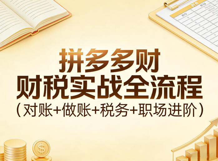 拼多多财税实战全流程(对账+做账+税务+职场进阶)-情久项目网
