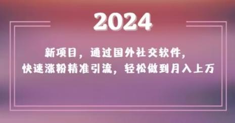 2024新项目，通过国外社交软件，快速涨粉精准引流，轻松做到月入上万【揭秘】-情久项目网