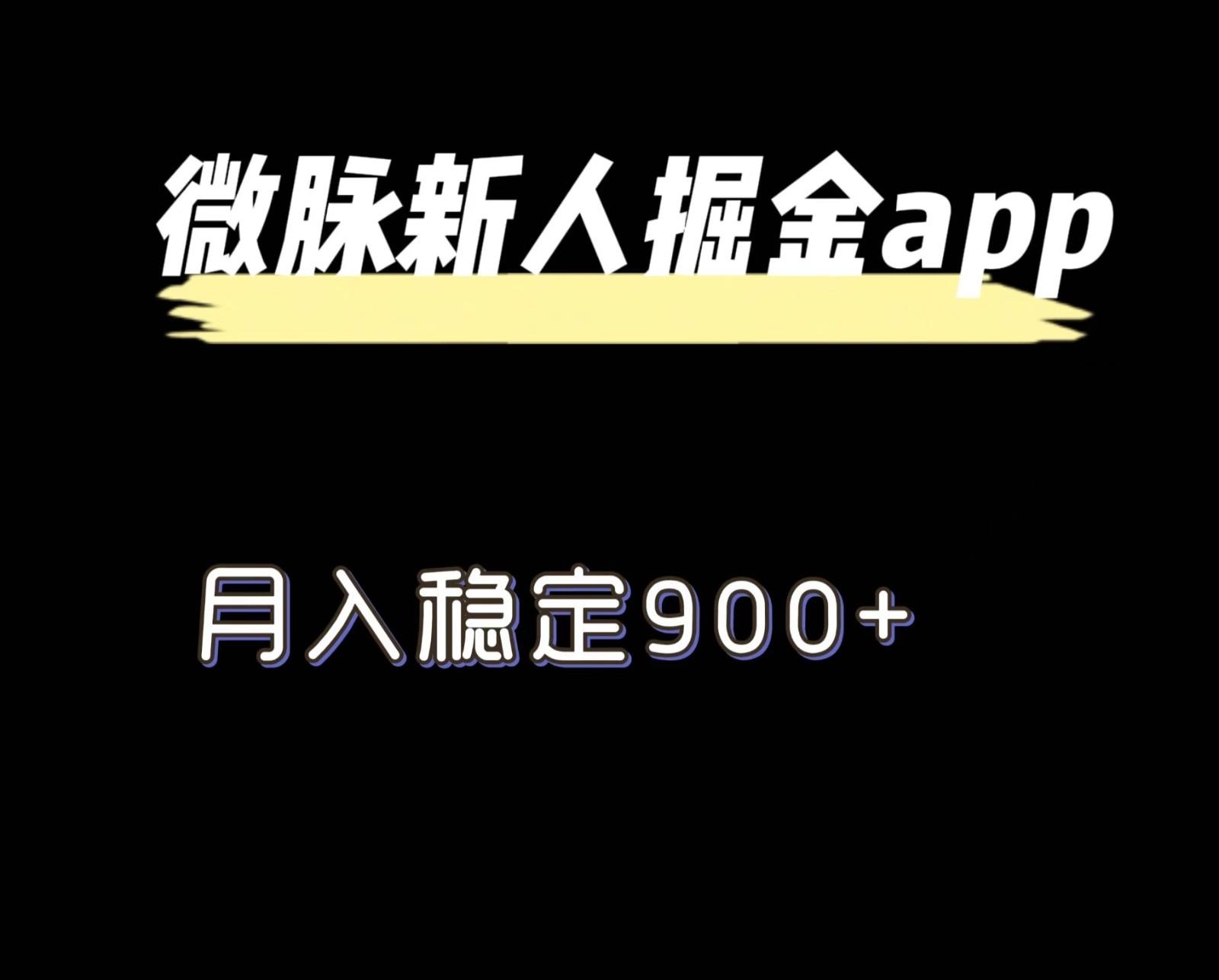 最新微脉长久项目，拉新掘金，月入稳定900+-情久项目网