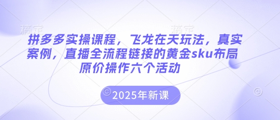 拼多多实操课程，飞龙在天玩法，真实案例，直播全流程链接的黄金sku布局原价操作六个活动-情久项目网