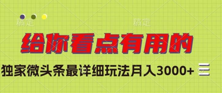 独家微头条最详细玩法，月入3000+【揭秘】-情久项目网