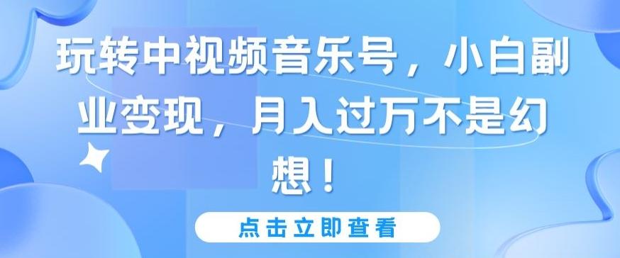 玩转中视频音乐号，小白副业变现，月入过万不是幻想【揭秘】-情久项目网