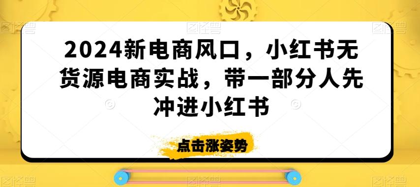 2024新电商风口，小红书无货源电商实战，带一部分人先冲进小红书-情久项目网
