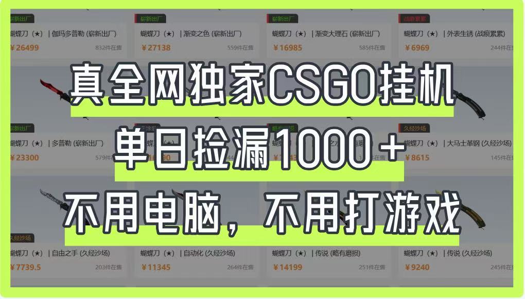 真全网独家CSGO挂机，单日捡漏1000+，不用电脑，不用养号-情久项目网