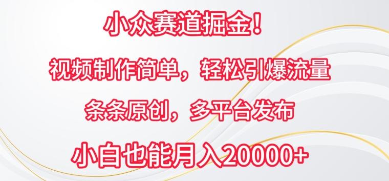 小众赛道掘金，视频制作简单，轻松引爆流量，条条原创，多平台发布【揭秘】-情久项目网