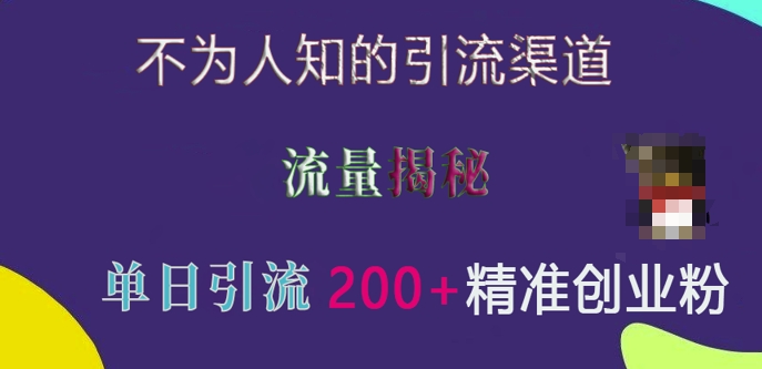 不为人知的引流渠道，流量揭秘，实测单日引流200+精准创业粉【揭秘】-情久项目网