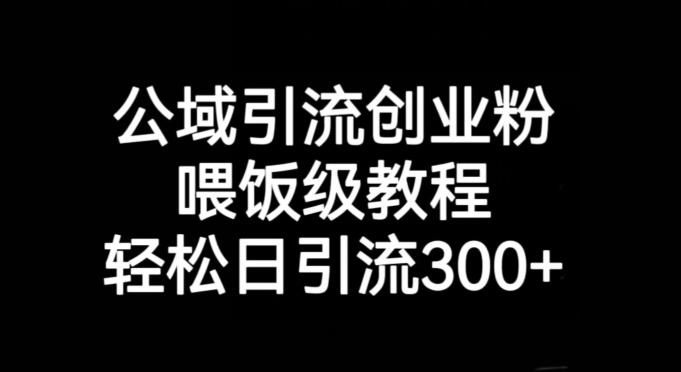 公域引流创业粉，喂饭级教程，轻松日引流300+【揭秘】-情久项目网
