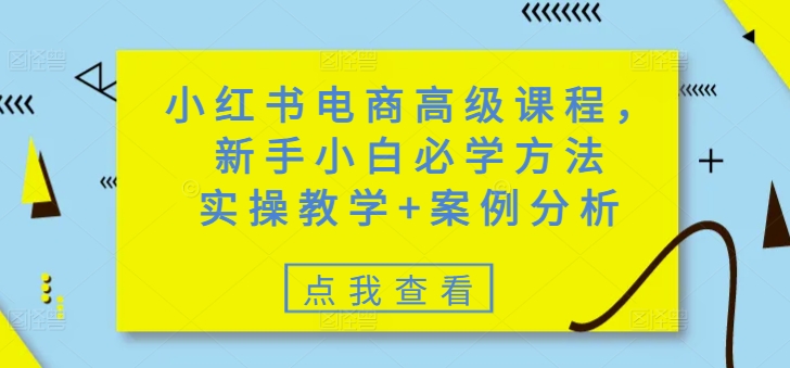 小红书电商高级课程，新手小白必学方法，实操教学+案例分析-情久项目网