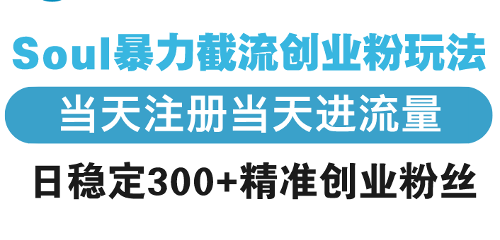 Soul暴力截流创业粉玩法，当天注册当天进流量，日稳定300+精准创业粉丝-情久项目网