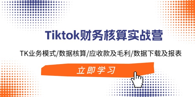 Tiktok财务核算实战营：TK业务模式/数据核算/应收款及毛利/数据下载及报表-情久项目网