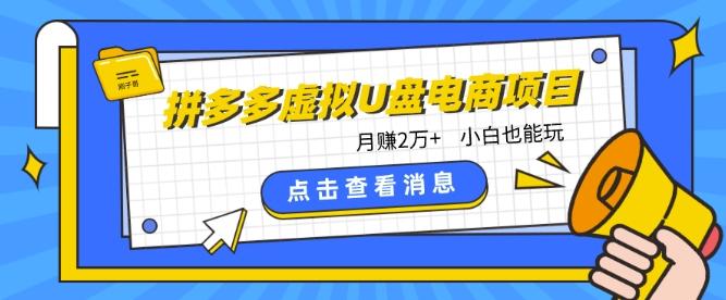 拼多多虚拟U盘电商红利项目：月赚2万+，新手小白也能玩-情久项目网