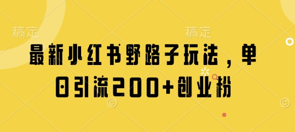 最新小红书野路子玩法，单日引流200+创业粉-情久项目网