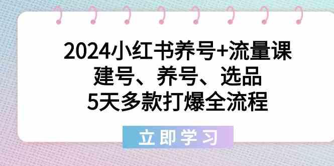2024小红书养号+流量课:建号、养号、选品,5天多款打爆全流程-情久项目网
