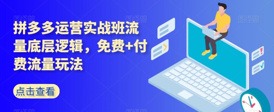 拼多多运营实战班流量底层逻辑，免费+付费流量玩法-情久项目网