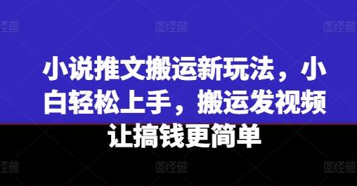 小说推文搬运新玩法，小白轻松上手，搬运发视频让搞钱更简单-情久项目网