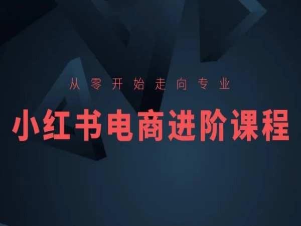 从零开始走向专业，小红书电商进阶课程-情久项目网