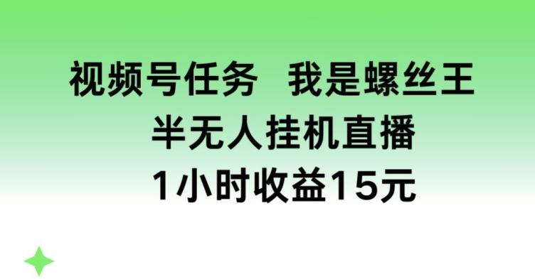 视频号任务，我是螺丝王， 半无人挂机1小时收益15元【揭秘】-情久项目网