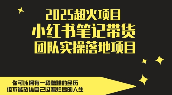 2025超火项目，副业最佳选择，小红书笔记带货团队实操落地项目，，轻松日入5张-情久项目网