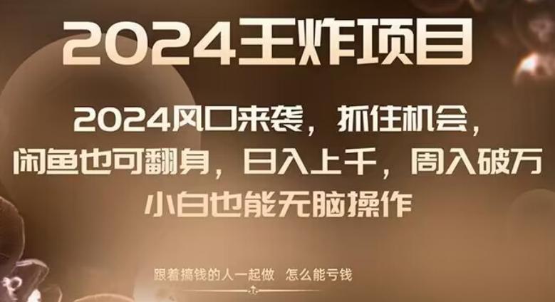 2024风口项目来袭，抓住机会，闲鱼也可翻身，日入上千，周入破万，小白也能无脑操作-情久项目网