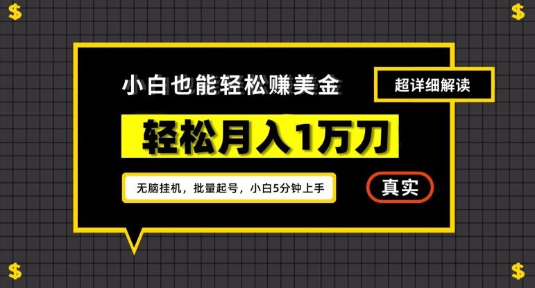 谷歌看广告撸美金2.0，无脑挂机，多号操作，月入1万刀【揭秘】-情久项目网