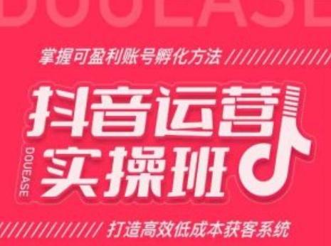 抖音运营实操班，掌握可盈利账号孵化方法，打造高效低成本获客系统-情久项目网