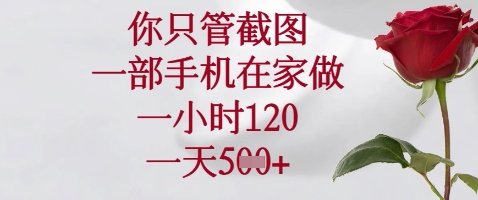 你只管截图，一部手机在家做，苹果安卓都可以，一小时120，一天5张+【揭秘】-情久项目网