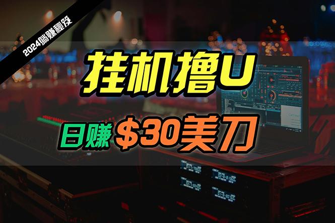 (10013期)日赚30美刀，2024最新海外挂机撸U内部项目，全程无人值守，可批量放大-情久项目网