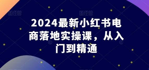 2024最新小红书电商落地实操课，从入门到精通-情久项目网