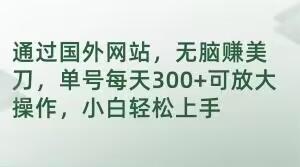 通过国外网站，无脑赚美刀，单号每天300+可放大操作，小白轻松上手【揭秘】-情久项目网