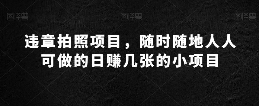 违章拍照项目，随时随地人人可做的日赚几张的小项目-情久项目网