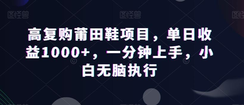 高复购莆田鞋项目，单日收益1000+，一分钟上手，小白无脑执行-情久项目网