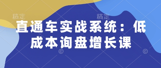 直通车实战系统：低成本询盘增长课，让个人通过技能实现升职加薪，让企业低成本获客，订单源源不断-情久项目网