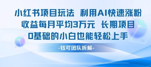 适合小白操作的小红书新项目，利用AI快速涨粉，收益每月平均1W+-情久项目网