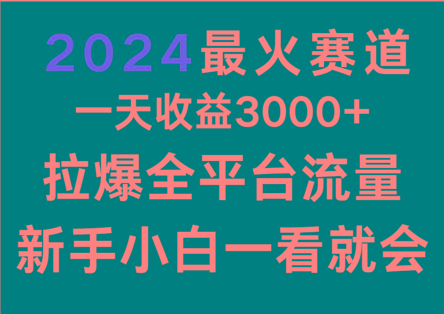 2024最火赛道，一天收一3000+.拉爆全平台流量，新手小白一看就会-情久项目网