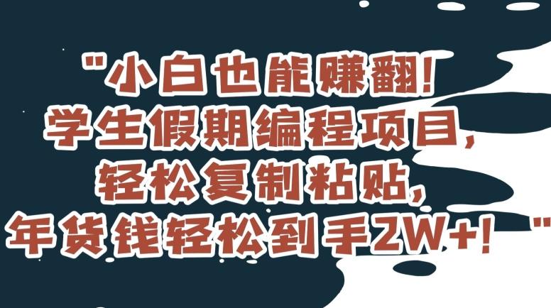 小白也能赚翻！学生假期编程项目，轻松复制粘贴，年货钱轻松到手2W+【揭秘】-情久项目网