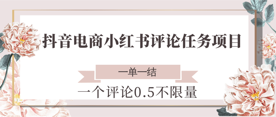抖音电商小红书评论任务项目，一个评论0.5，一单一结 不限量-情久项目网